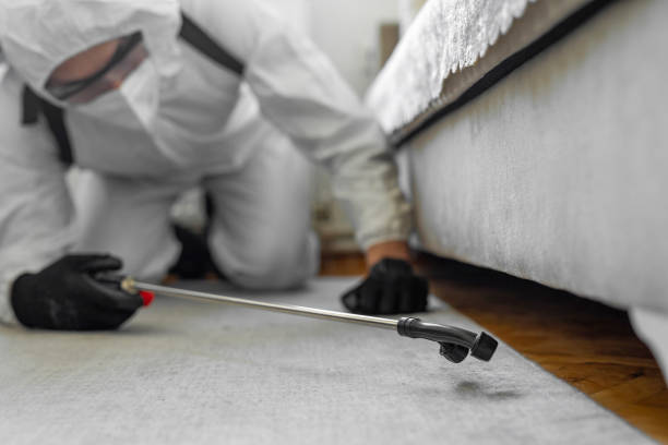 Professional Ant Control technician working in Warrensville Heights, OH